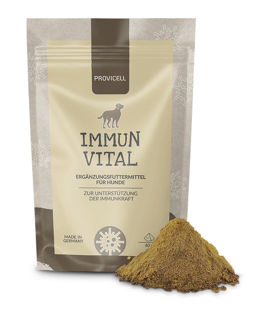 Produktbild Immun Vital mit Pulver