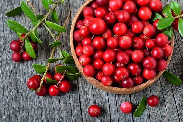 Preiselbeeren