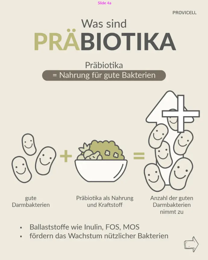 Präbiotika