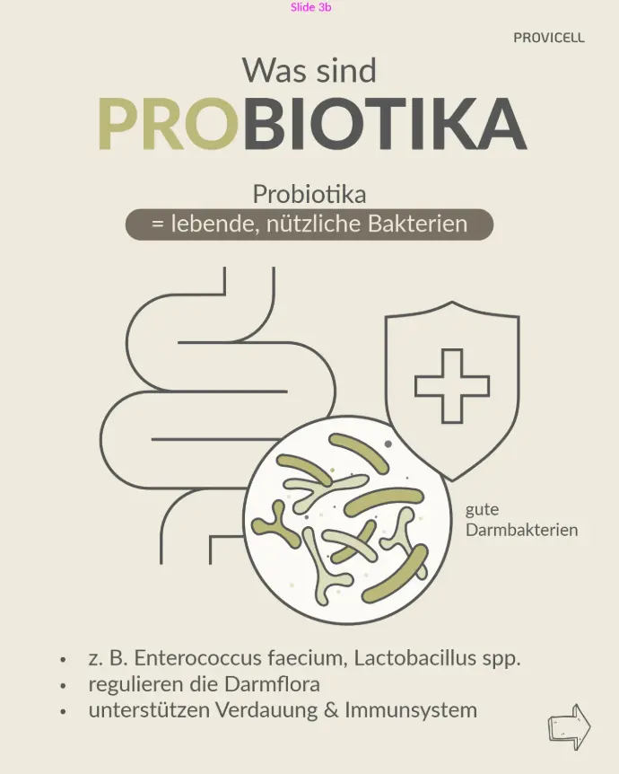 Probiotika