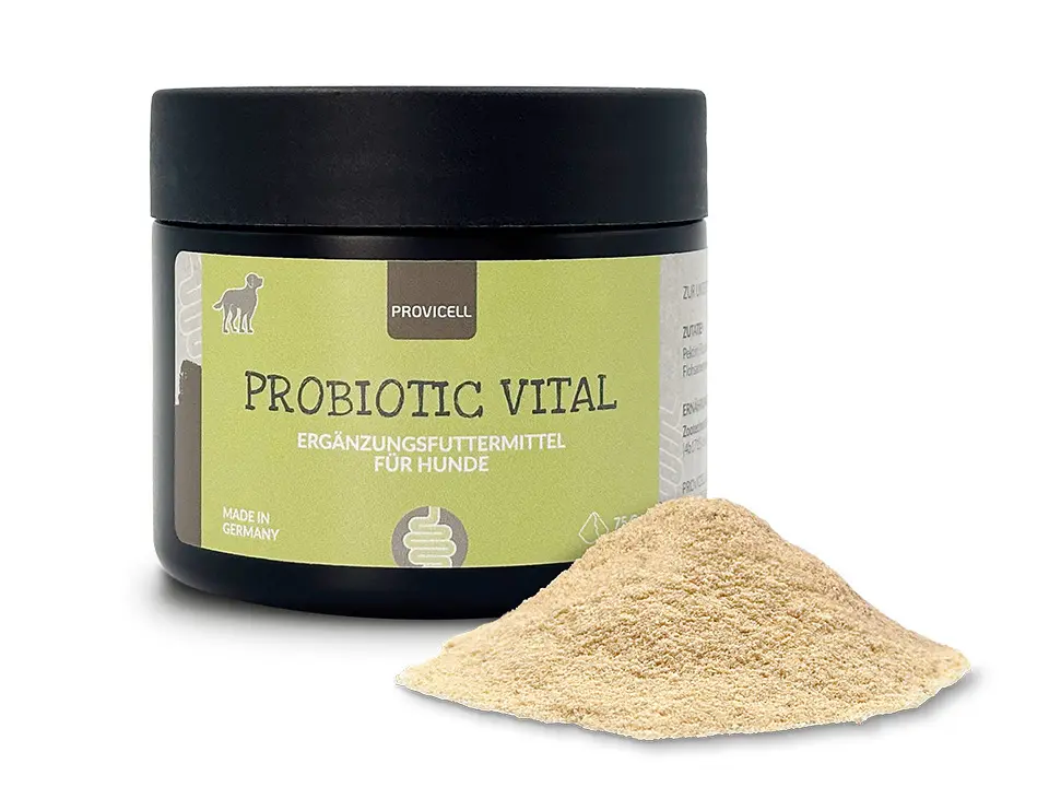 Probiotic Vital