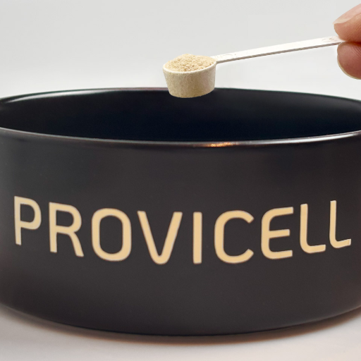 Dosierung Basan Therapura