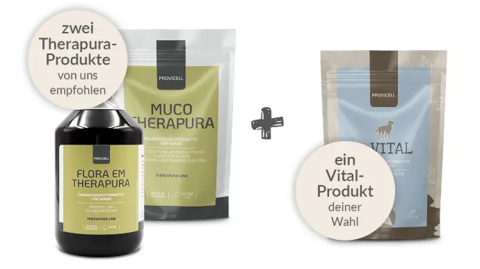 Willkommensgeschenk Willkommensgeschenk