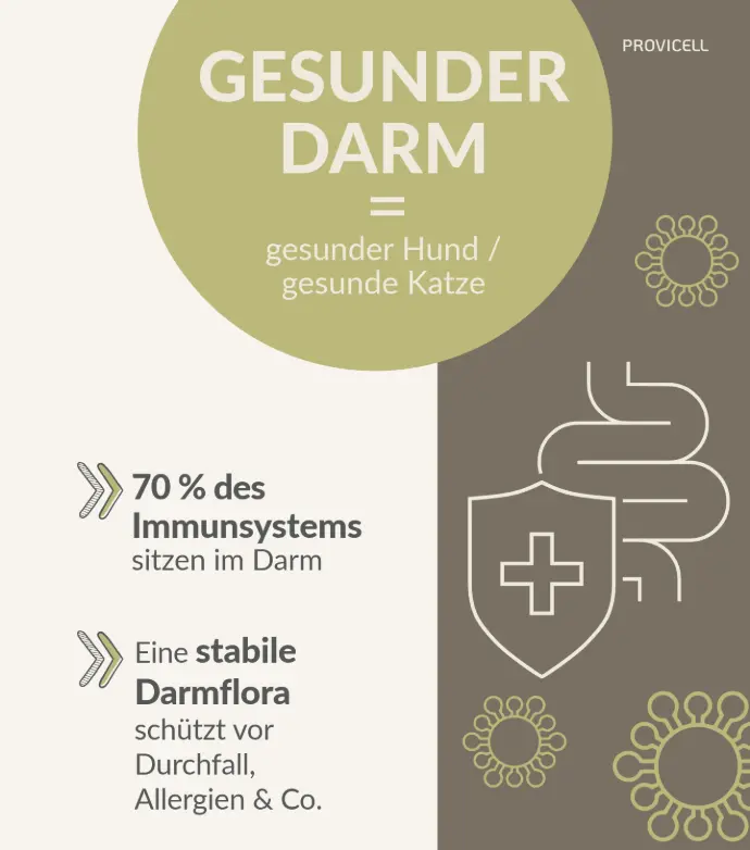 Gesunder Darm gesundes Tier