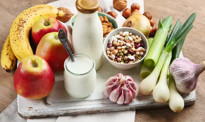 Prä- und Probiotika