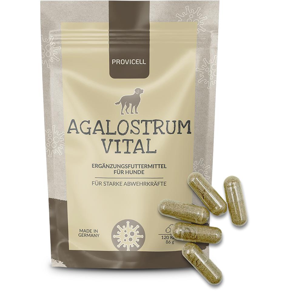 Agalostrum Vital mit Kapseln
