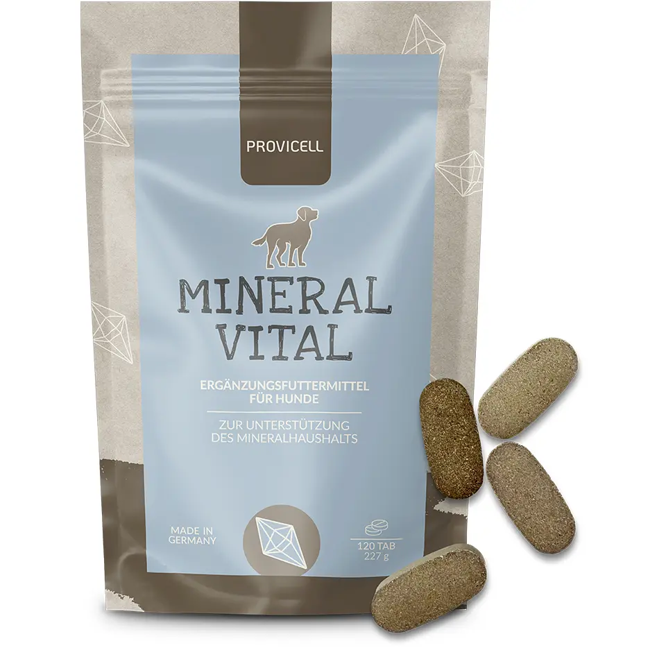 Mineral Vital + Tabletten