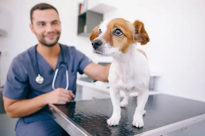 ​Therapeutenschulung Therapura-Linie