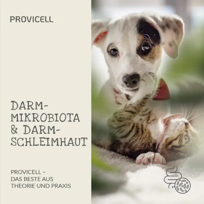 E-Book Darmmikrobiota & Darmschleimhaut