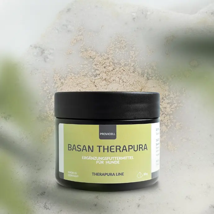 Basan Therapura