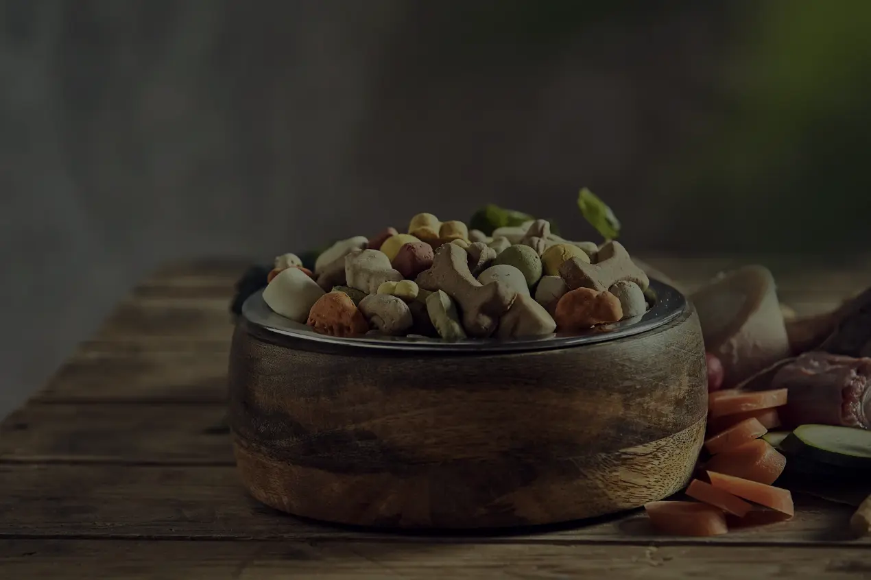 Fachwebinar Tatort Darm