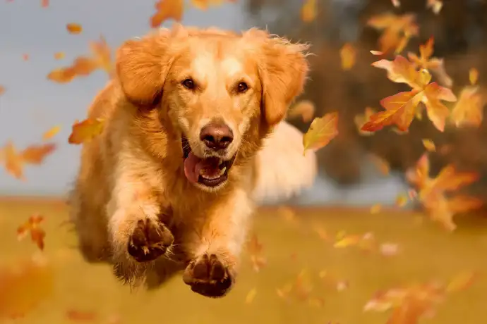 Mitochondrien – die Energiefabriken der Zelle