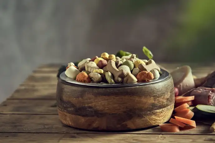 Wie erkenne ich ein optimales Hundefutter?