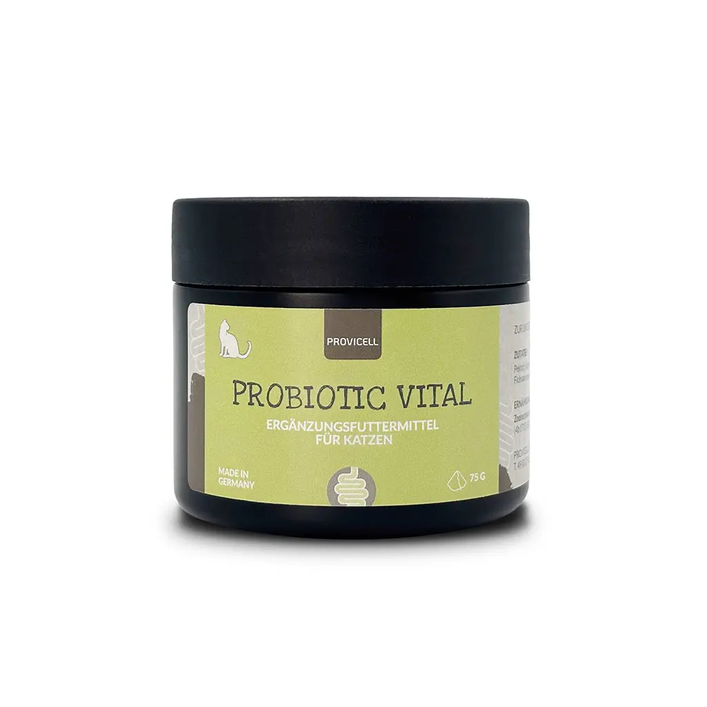 Probiotic Vital Katze