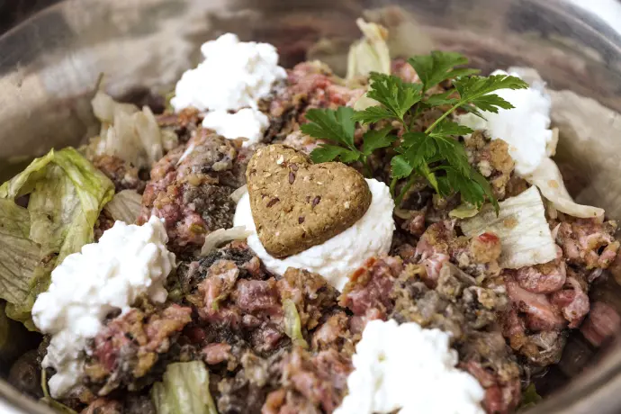 B-Vitamine für den Hund: Unterstützung für das zentrale Nervensystem