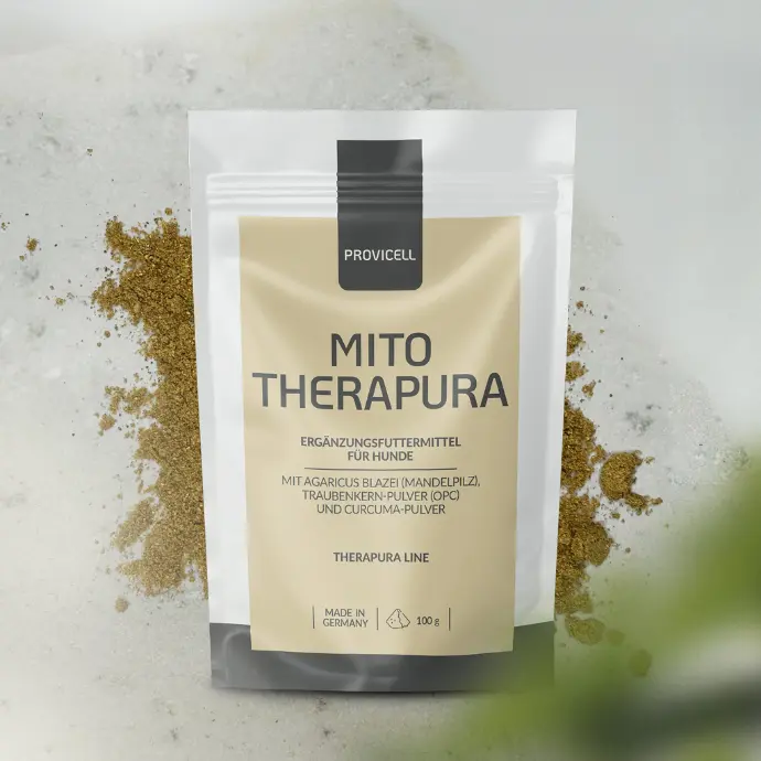 Mito Therapura