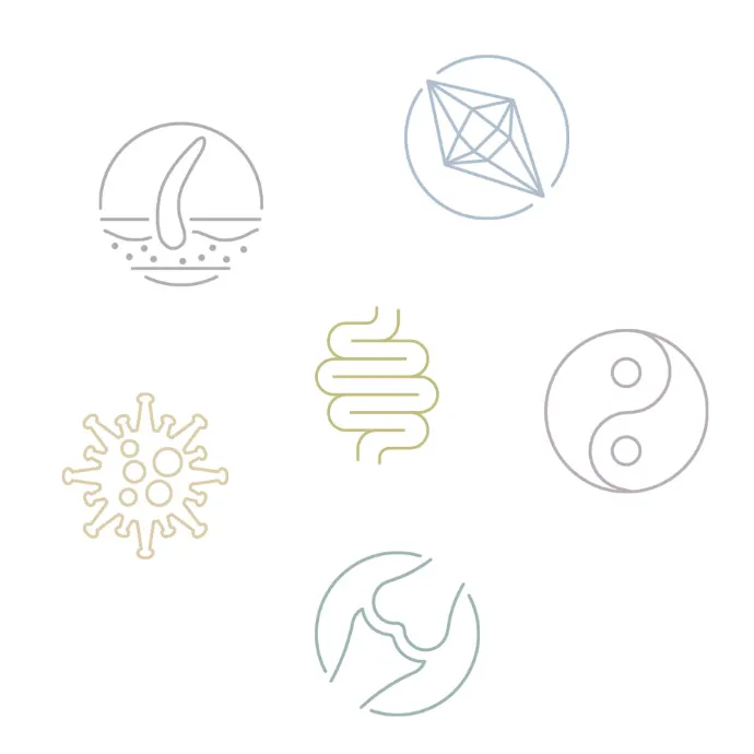 Icons Anwendungsbereiche