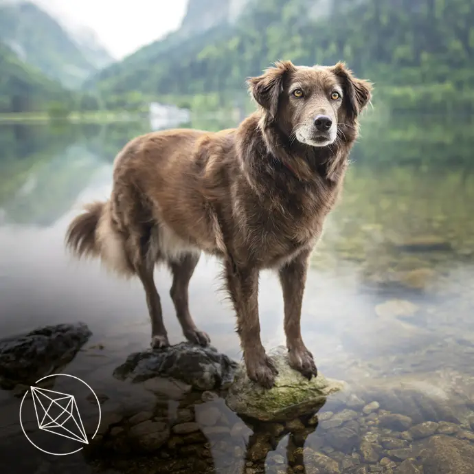 Anwendungsbereich Mineralstoffe