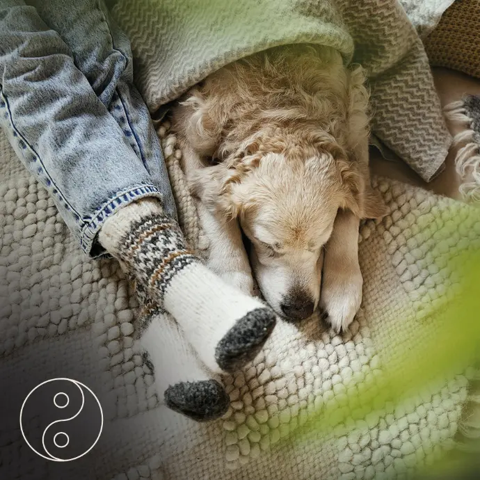 Anwendungsbereich Entspannung