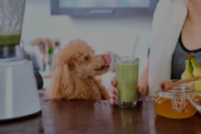 Webinar Kräutersmoothies