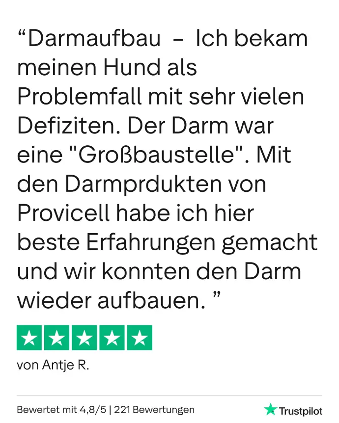 Kundenbewertung Trustpilot