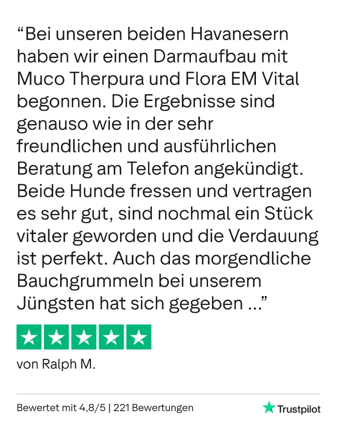 Bewertung Trustpilot