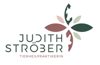 Judith Ströber