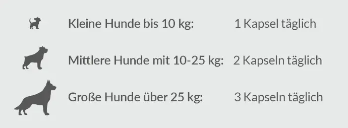 Dosierung Muco Therapura