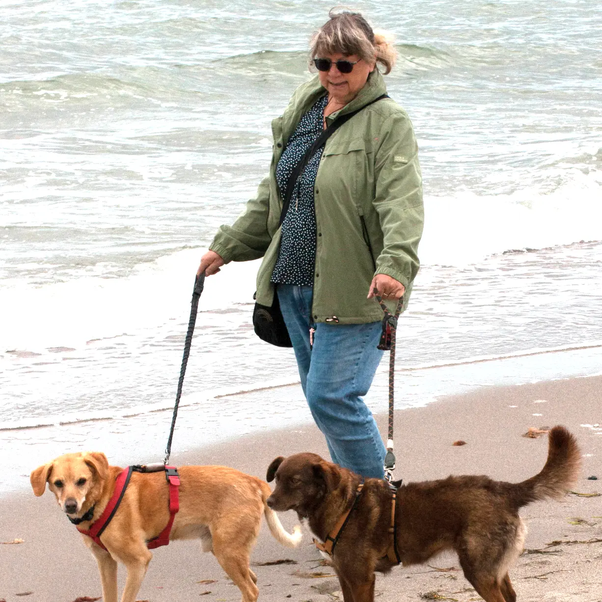 Dr. rer. nat. Kerstin Mirow,  