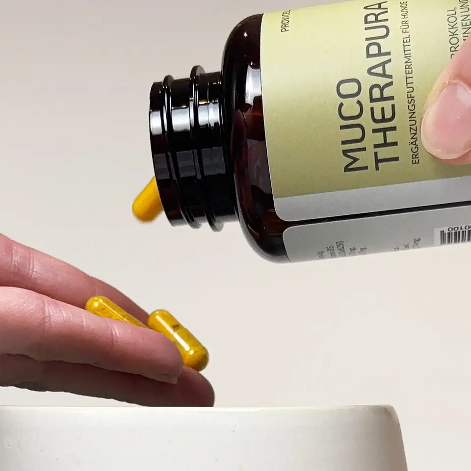 Muco Therapura Dosierung