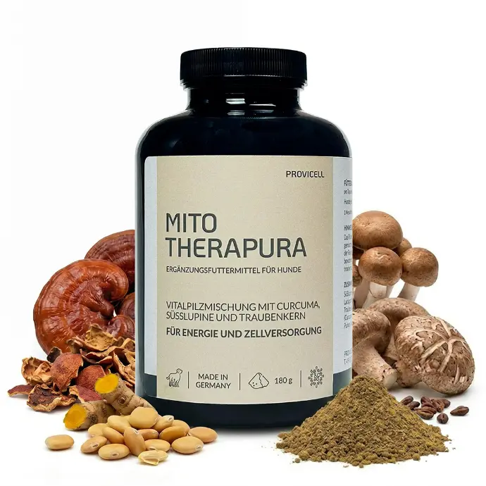 Mito Therapura mit Pilzen und Pflanzen