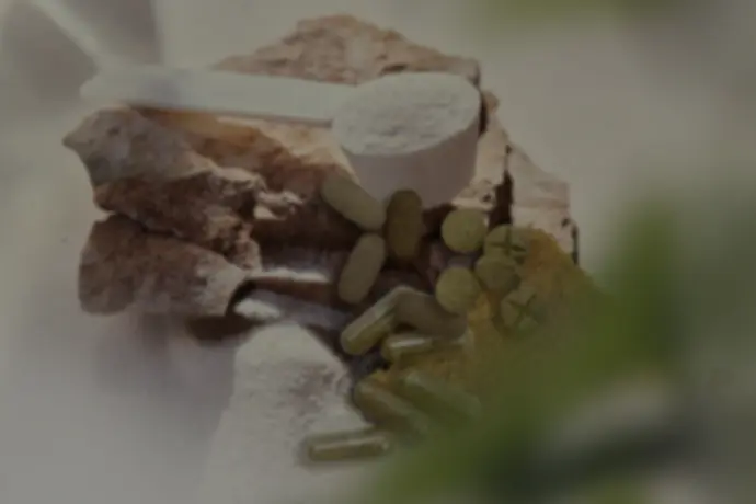 ​Raus aus dem Dschungel der Darmtherapeutika