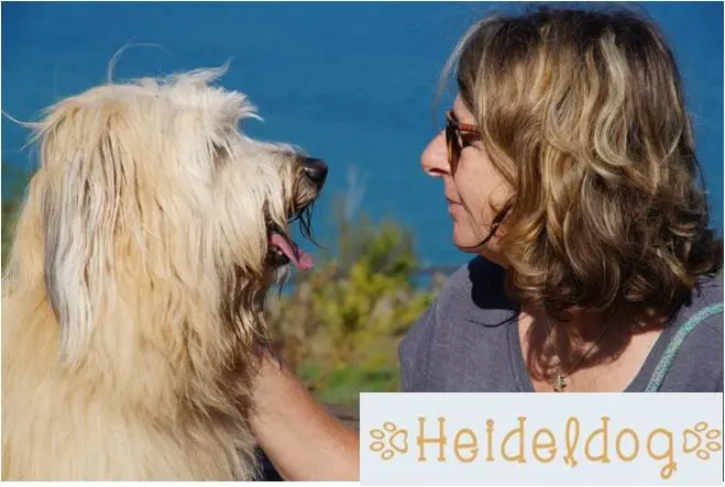 Ute Bühner, Hundeverhaltenstherapeut