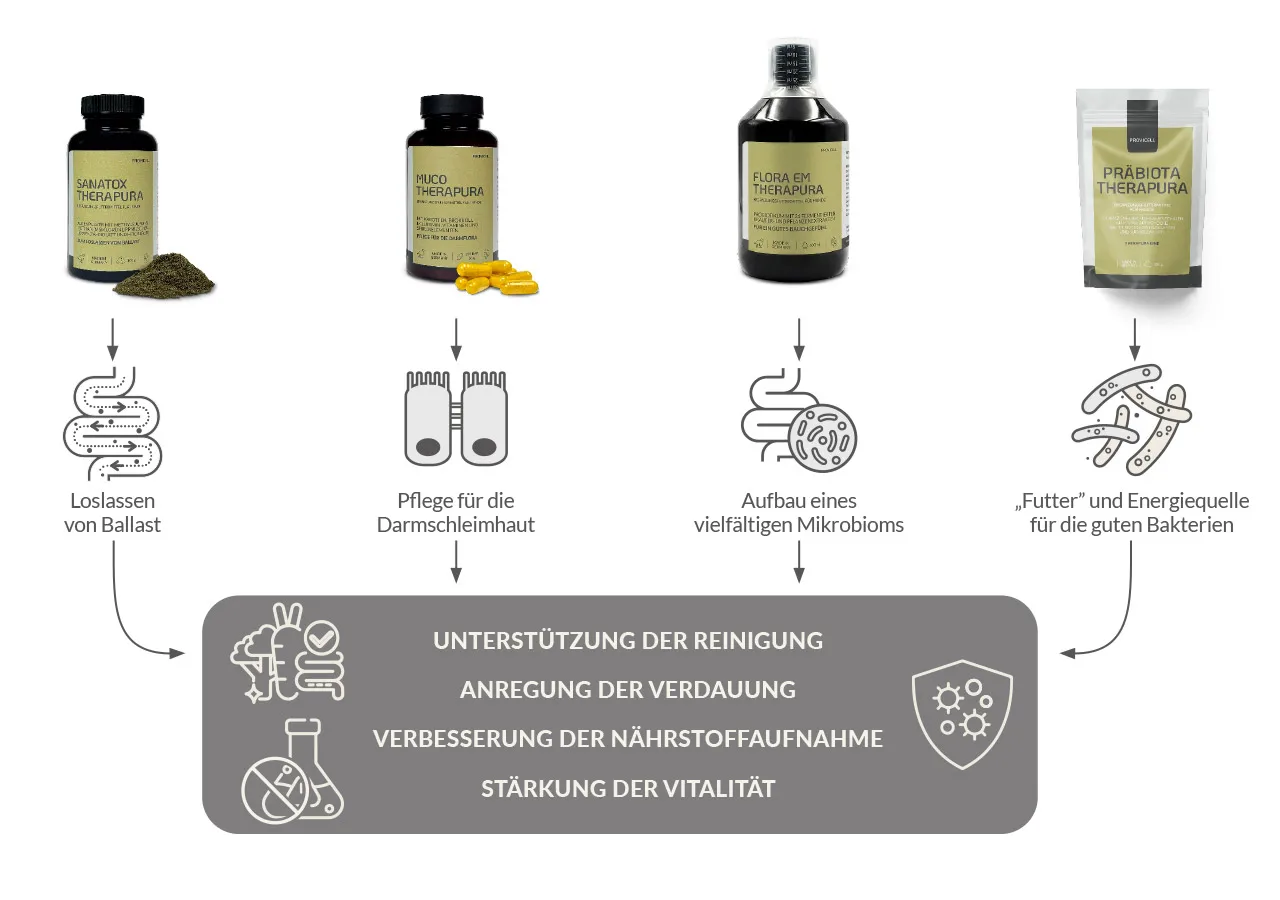 Schaubild zur Probiotika-Darmkur aus der Therapura-Linie von PROVICELL