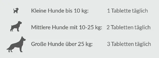 Dosierung Tabletten B-Vital