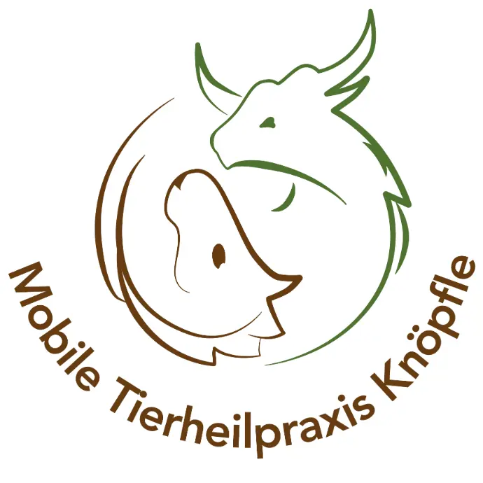 Logo THP Knöpfle