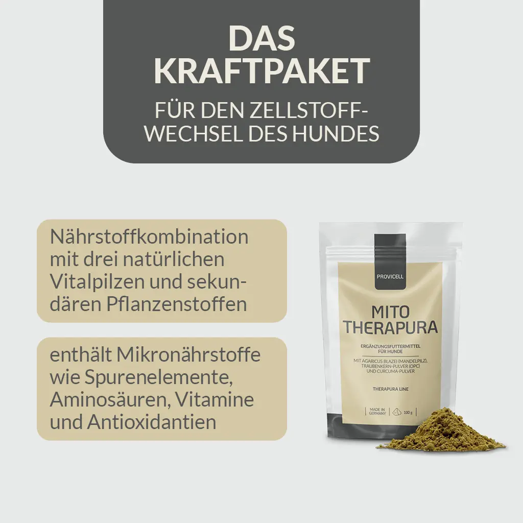 PROVICELL_Mito-Therapura_4.webp