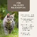 PROVICELL_EM-Vital_Katze_2.webp