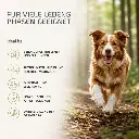 PROVICELL_Flora_EM-Therapura_3.webp