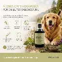 PROVICELL_Flora_EM_Therapura_1080_8_Fazit.webp
