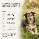PROVICELL_Praebiota_Therapura_Situation.webp