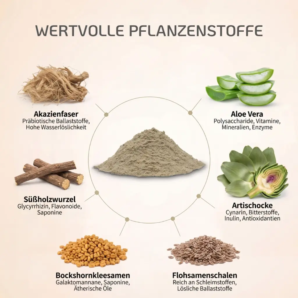 PROVICELL_Praebiota_Therapura_Inhaltsstoffe.webp