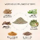 PROVICELL_Praebiota_Therapura_Inhaltsstoffe.webp