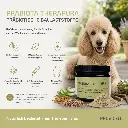 PROVICELL_Praebiota_Therapura_Fazit.webp