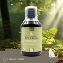 Provicell_EM_Vital_Katze_2.webp