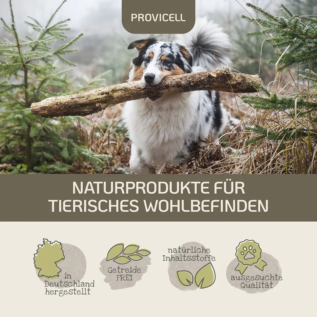 PROVICELL_EM-Vital_Hund_5.webp