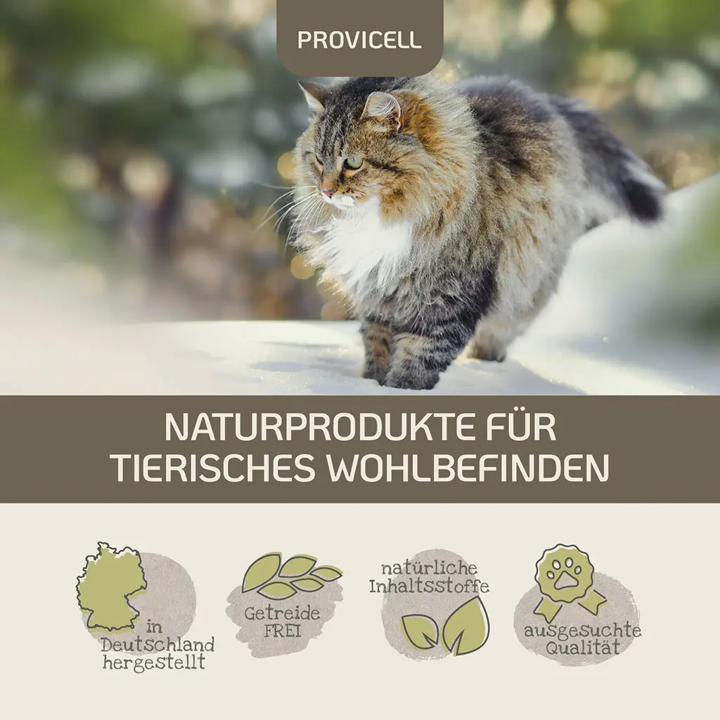 PROVICELL_Probiotic-Vital_Katze_5.webp