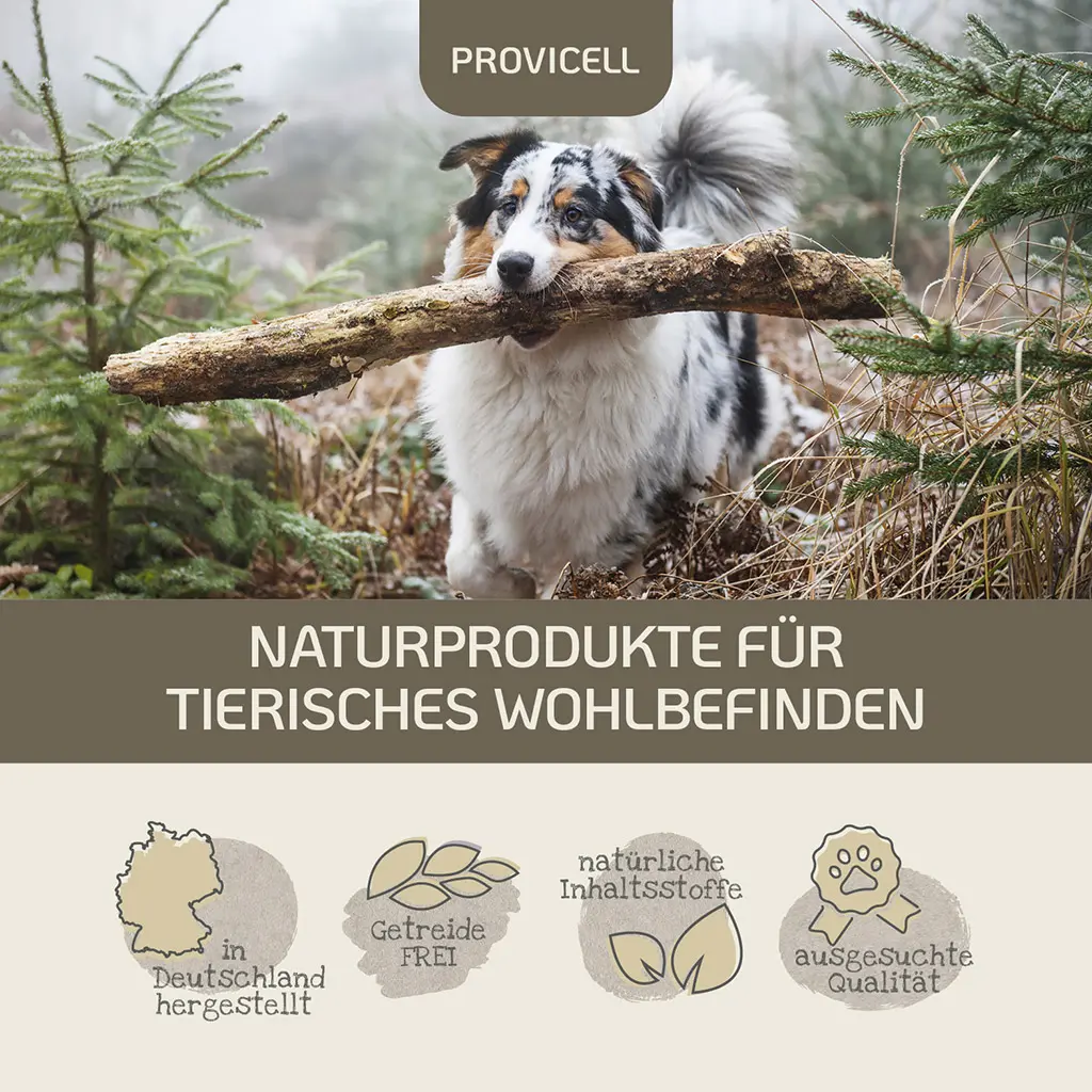 PROVICELL_Immun-Vital_5.webp