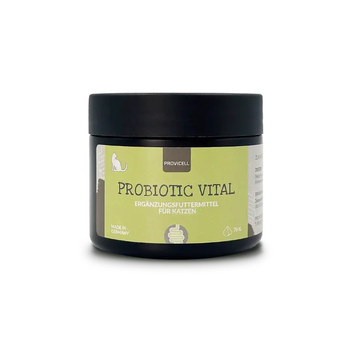 Probiotic Vital Katze