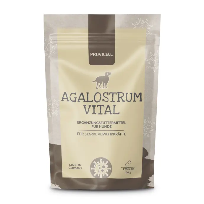 Agalostrum Vital